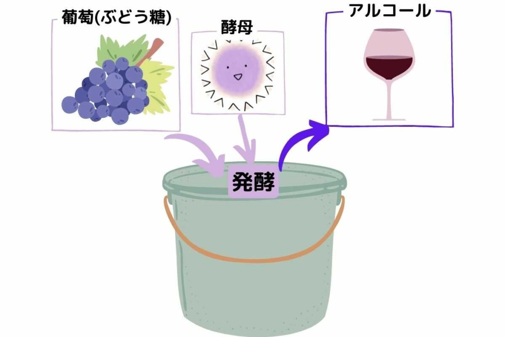 単発酵_醸造酒の造り方