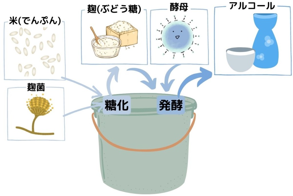 並行複発酵_醸造酒の造り方